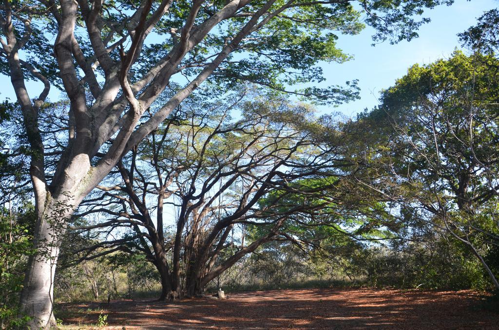 Pousada Terras Do Poente Vale do Capao Ngoại thất bức ảnh