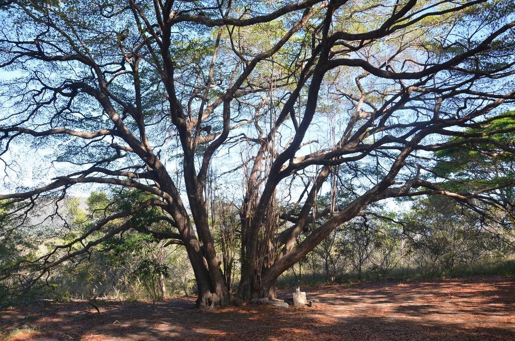 Pousada Terras Do Poente Vale do Capao Ngoại thất bức ảnh